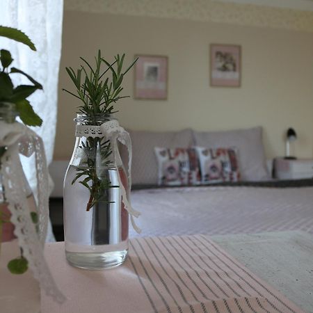Apartmany U Basty Hlučín Kamer foto