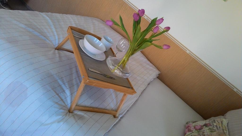 Apartmany U Basty Hlučín Buitenkant foto